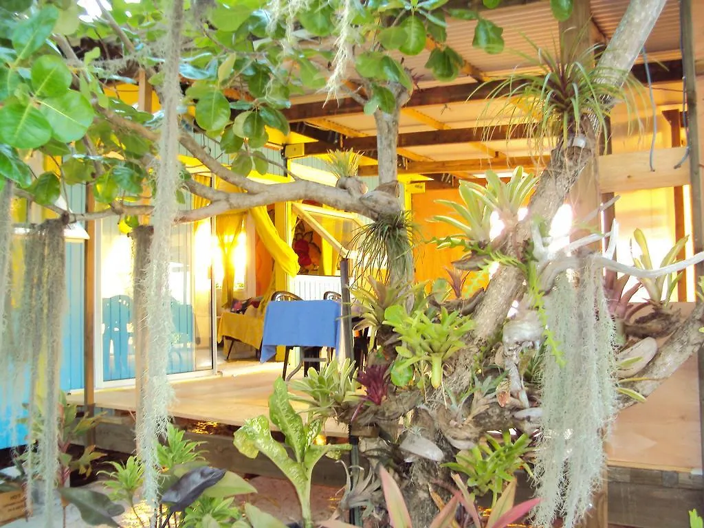 Homestay Pension Coconut Beach Tikehau