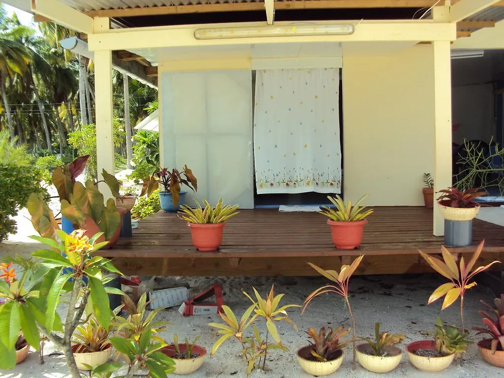 Pension Coconut Beach Tikehau 0*,  French Polynesia