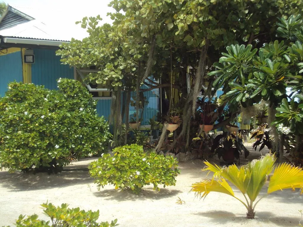 Pension Coconut Beach Tikehau French Polynesia
