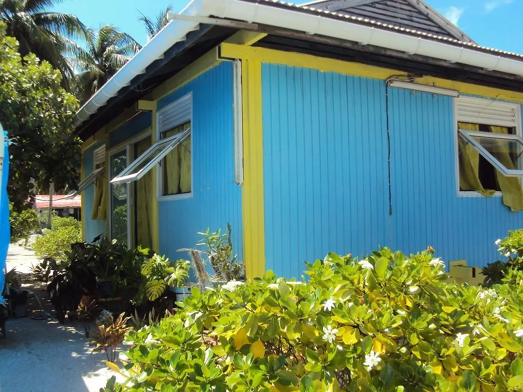 Pension Coconut Beach Tikehau Homestay
