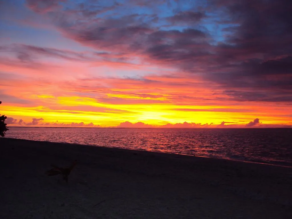 Pension Coconut Beach Tikehau location