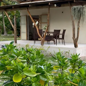 Teumuhonu Tikehau Couette-café